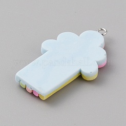 Opaque Resin Pendants&nbsp;RESI-CJC0011-32B-01