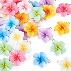 28Pcs 7 Colors Opaque Resin Pendants&nbsp;RESI-TA0005-19