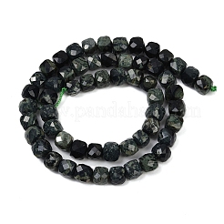 Natural Kambaba Jasper Beads Strands&nbsp;G-H078-C46-6mm