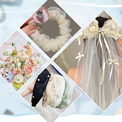 5M Iridescent Organza Lace Trim Fabric&nbsp;DIY-WR0003-70