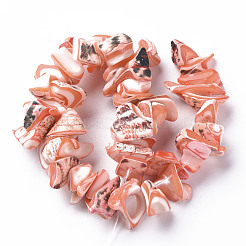 Natural Trochid Shell/Trochus Shell Bead Strands&nbsp;SSHEL-N034-105-A02