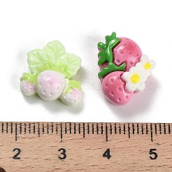 Opaque Resin Decoden Cabochons&nbsp;RESI-I338-06