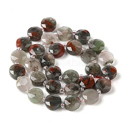 Natural Bloodstone Bead Strands&nbsp;G-C116-A06-01
