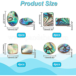 16Pcs 4 Style Natural Shell Cabochons&nbsp;SSHEL-BC0001-23