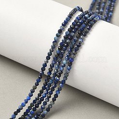 Natural Lapis Lazuli Bead Strands&nbsp;G-G936-2mm-22
