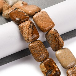 Natural Picture Jasper Beads Strands&nbsp;G-T047-B07-01