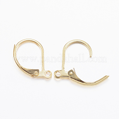 304 Stainless Steel Leverback Earring Findings&nbsp;STAS-L190-14G