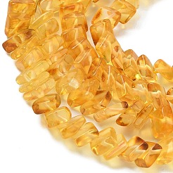 Natural Amber Beads Strands&nbsp;G-K376-C02-01