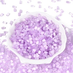 Drawbench Style Glass Seed Beads&nbsp;SEED-N008-10E