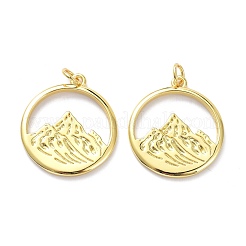 Brass Pendants&nbsp;KK-L188-31G