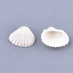Clam Shell Pendants&nbsp;SSHEL-S258-60