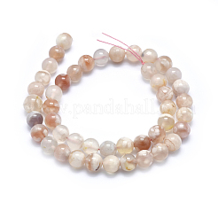 Natural Cherry Blossom Agate Beads Strands&nbsp;G-I206-01-10mm