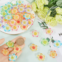 60Pcs 6 Colors Opaque Resin Decoden Cabochons&nbsp;RESI-SC0005-83A