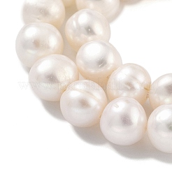 Natural Cultured Freshwater Pearl Beads Strands&nbsp;PEAR-C003-19D