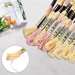 10 Skeins 6-Ply Polyester Embroidery Floss&nbsp;OCOR-CY0002-99G