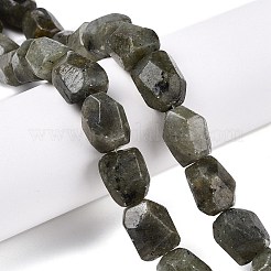 Natural Labradorite Beads Strands&nbsp;G-N342-146