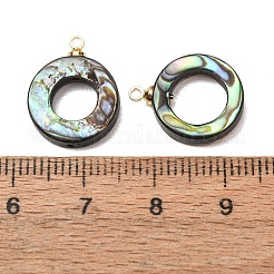 Natural Abalone Shell Pendants&nbsp;SH-CJC0AC7-01G-G