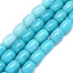 Natural Malaysia Jade Beads Strands&nbsp;G-B165-D02-10x14mm