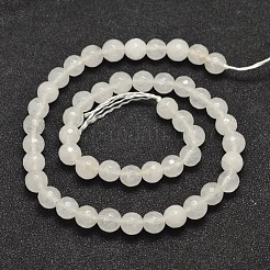 Natural Malaysia Jade Bead Strands&nbsp;G-A147-8mm-A04