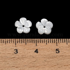 Natural White Shell Beads&nbsp;SH-CBA93AD-07C