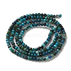 Natural Chrysocolla Beads Strands&nbsp;G-Z150-A05-2mm-A
