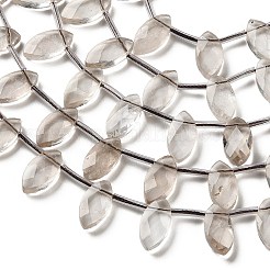 Natural Smoky Quartz Beads Strands&nbsp;G-P607-A10-01