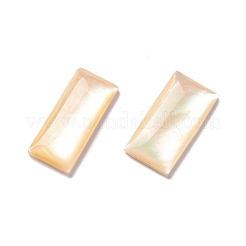 Yellow Shell Cabochons&nbsp;SSHEL-C008-10
