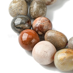 Natural Fossil Coral Beads Strands&nbsp;G-G117-A01-01