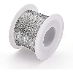 304 Stainless Steel Wire&nbsp;TWIR-WH0002-05-0.3mm