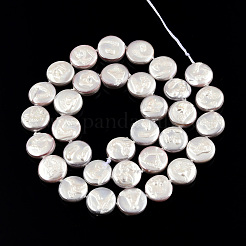 Plating Natural Freshwater Shell Beads Strands&nbsp;SHEL-N026-225C