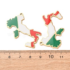 304 Stainless Steel & Enamel Pendants&nbsp;SA-CBA6ECE-01C-G