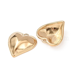 Valentine's Day 304 Stainless Steel Pendants&nbsp;STAS-C184-09G