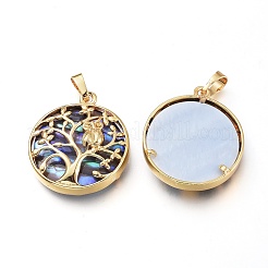 Natural Abalone Shell/Paua Shell Pendants&nbsp;BSHE-I014-G