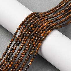 Natural Tiger Iron Beads Strands&nbsp;G-RM250104-B5