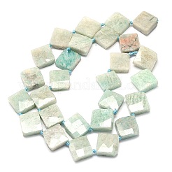 Natural Amazonite Beads Strands&nbsp;G-F725-36
