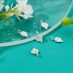 5Pcs 925 Sterling Silver Charms&nbsp;STER-BBC0001-21