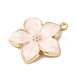 Alloy Enamel Pendants&nbsp;FIND-C079-03G-01