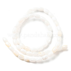 Natural Freshwater Shell Beads Strands&nbsp;SHEL-R129-02