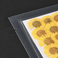 Centaurea Iberica Embossing Dried Flower&nbsp;DIY-K032-65A