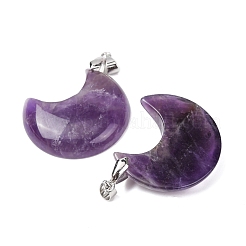 Natural Amethyst Pendants&nbsp;G-Z022-04C-01