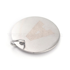 Non-Tarnish 304 Stainless Steel Charms&nbsp;STAS-H159-01P