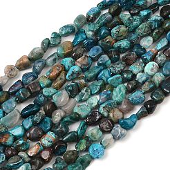 Natural Chrysocolla Beads Strands&nbsp;G-L493-61