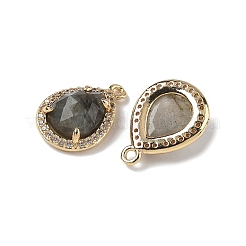 Natural Labradorite Faceted Teardrop Pendants&nbsp;G-U028-02G-06