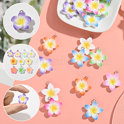 40Pcs 10 Styles Opaque Resin Pendants&nbsp;FIND-SC0019-47