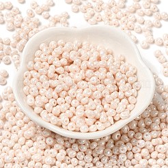6/0 Glass Seed Beads&nbsp;X1-SEED-M012-01A-09