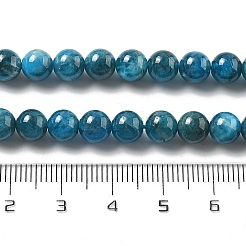 Natural Apatite Beads Strands&nbsp;G-O186-G01-01
