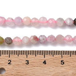 Natural Beads&nbsp;G-L651-C06-4mm