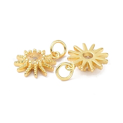 Brass Cubic Zirconia Charms&nbsp;ZIRC-C022-18G