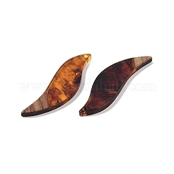 Resin & Wood Big Pendants&nbsp;WOOD-F015-18B