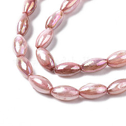 Freshwater Shell Beads Strands&nbsp;SHEL-N026-141D